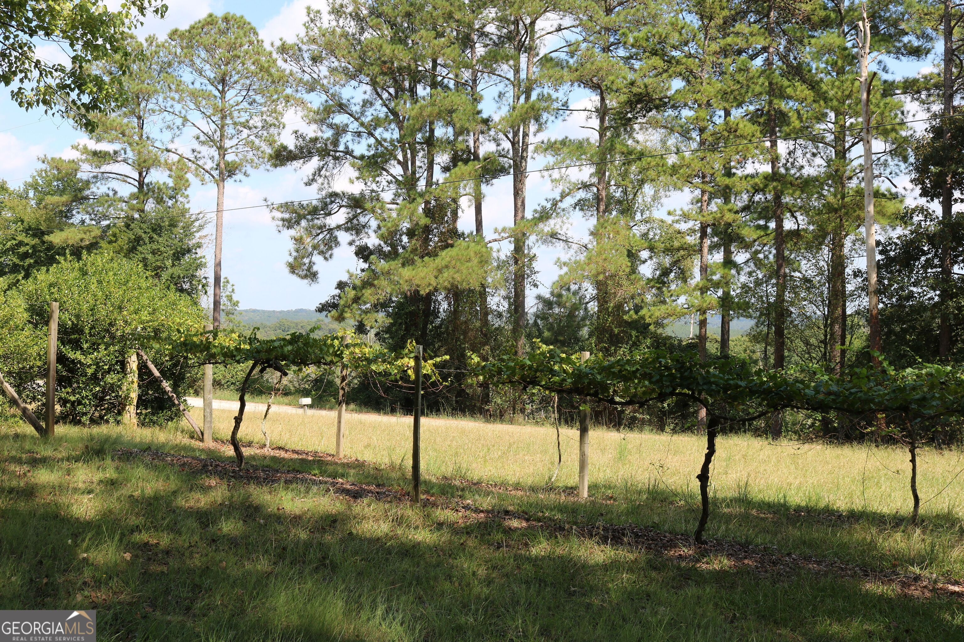 2096 Roy Woods Road Comer GA 30629