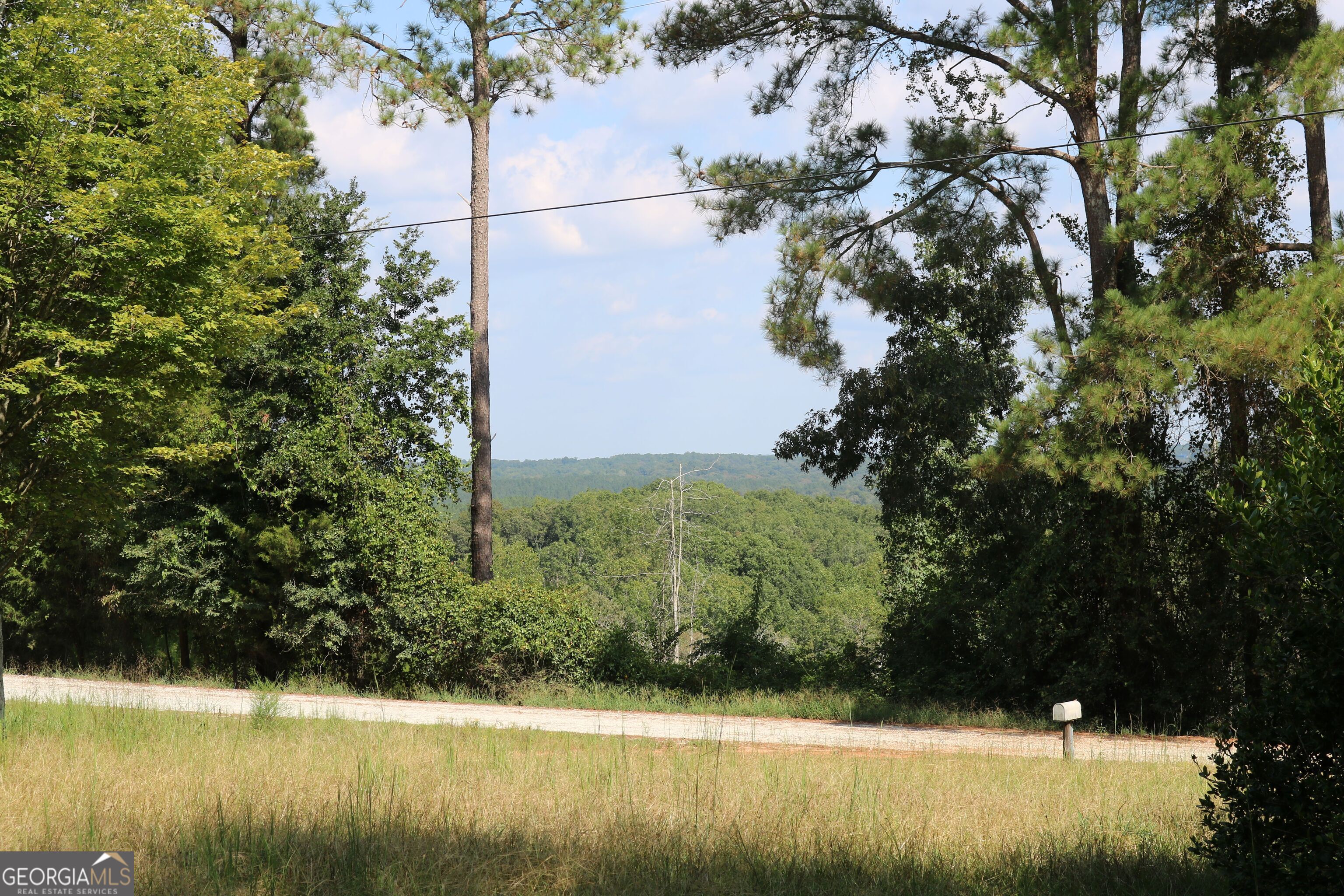 2096 Roy Woods Road Comer GA 30629