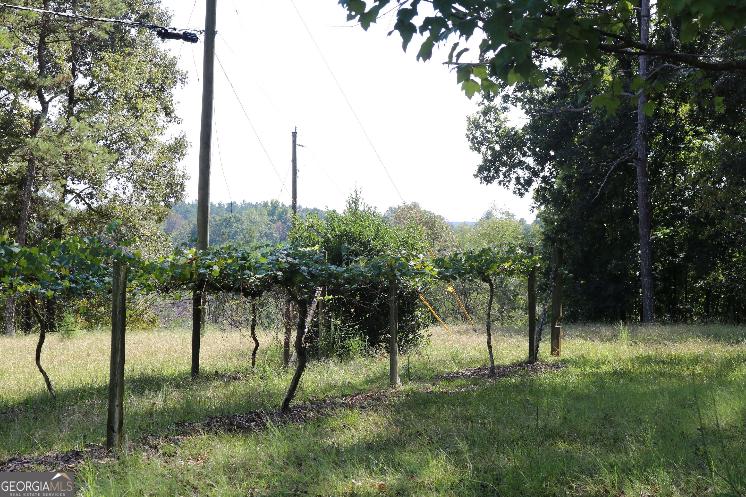 2096 Roy Woods Road Comer GA 30629