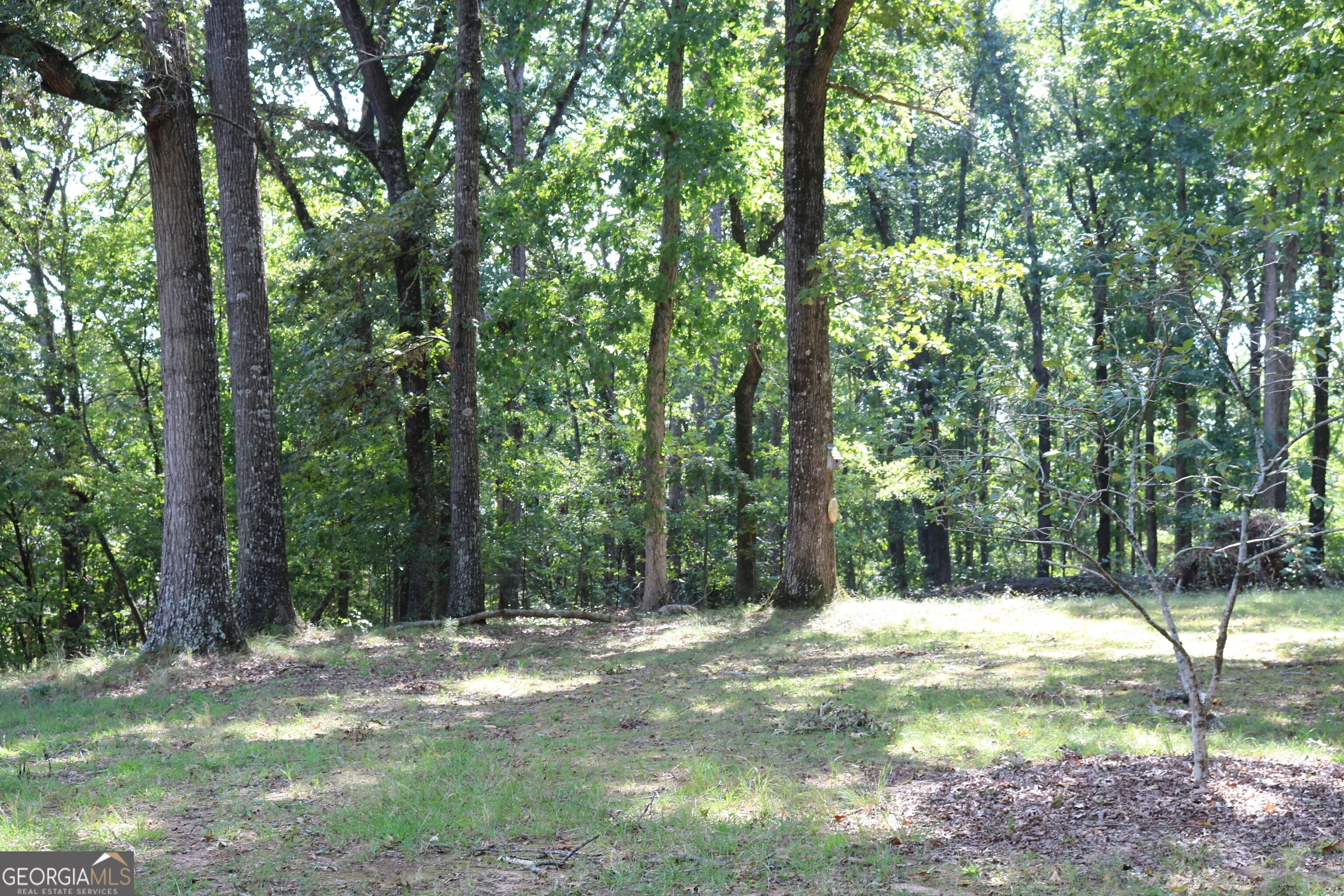2096 Roy Woods Road Comer GA 30629