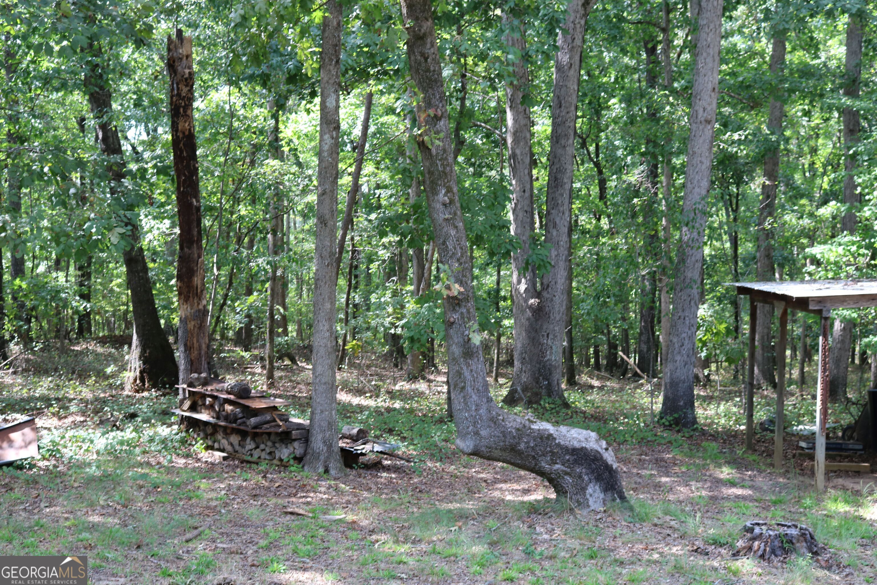 2096 Roy Woods Road Comer GA 30629