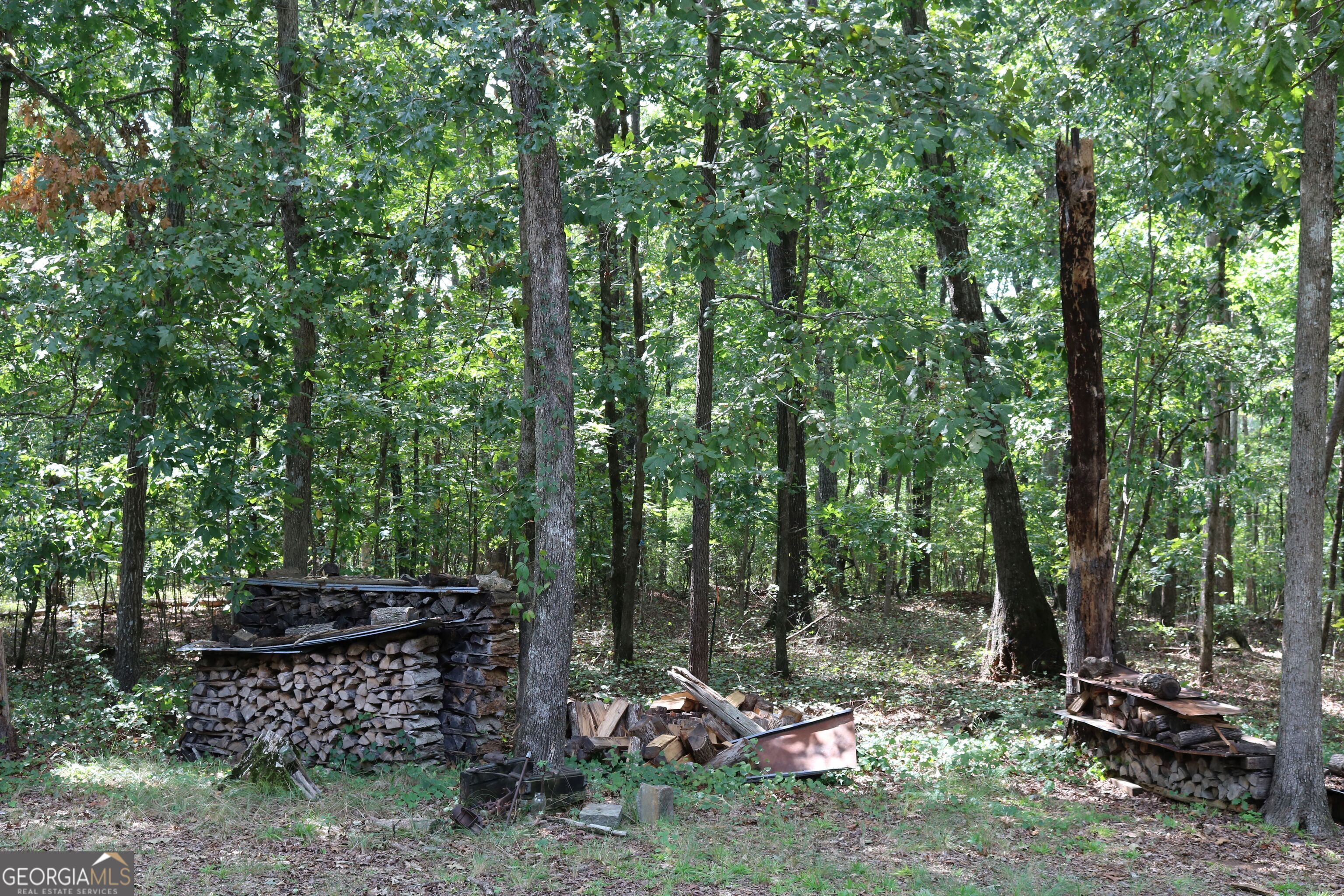 2096 Roy Woods Road Comer GA 30629