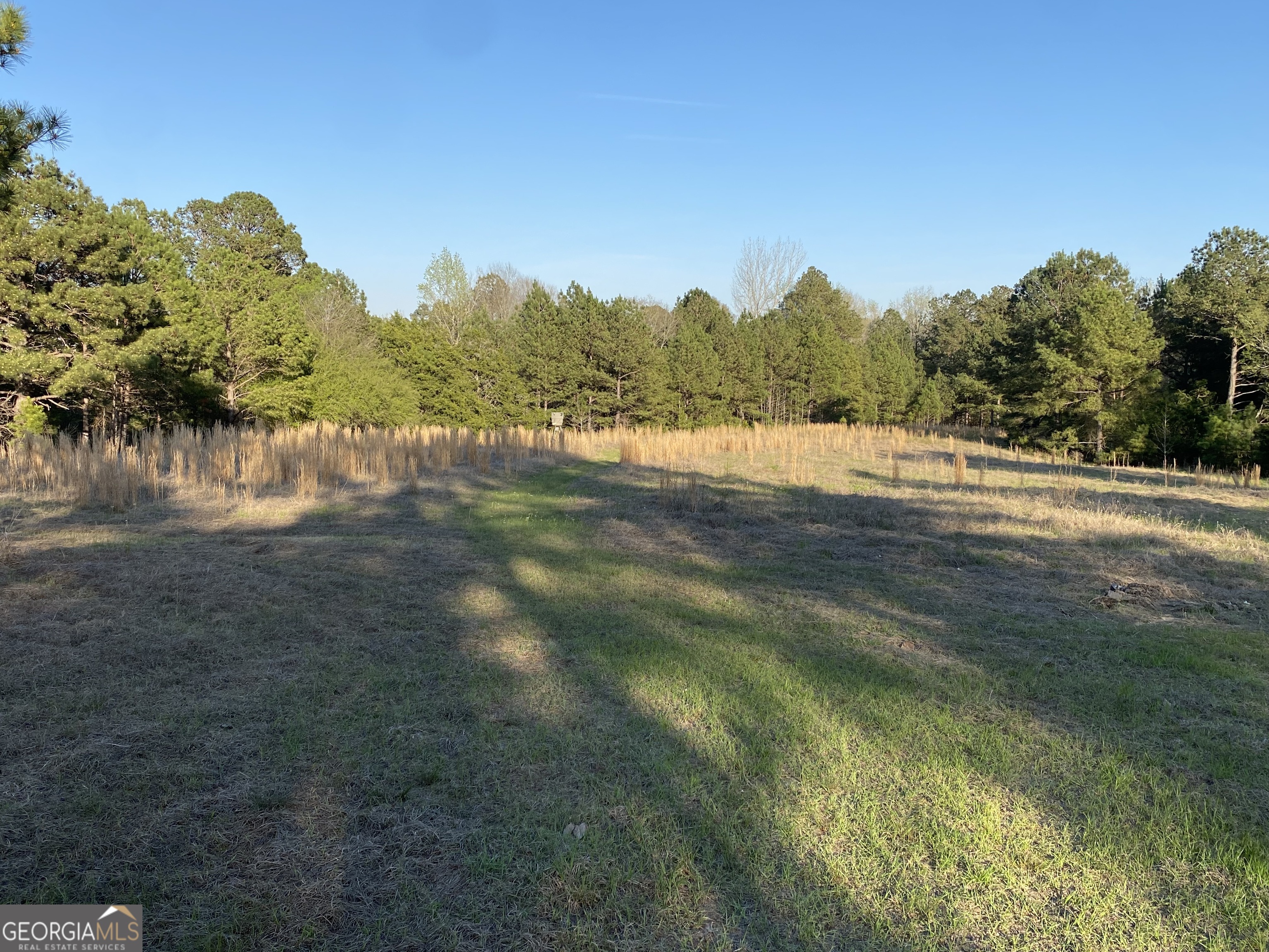 696 Ga Highway 49 No Street Suffix W Milledgeville GA 31061