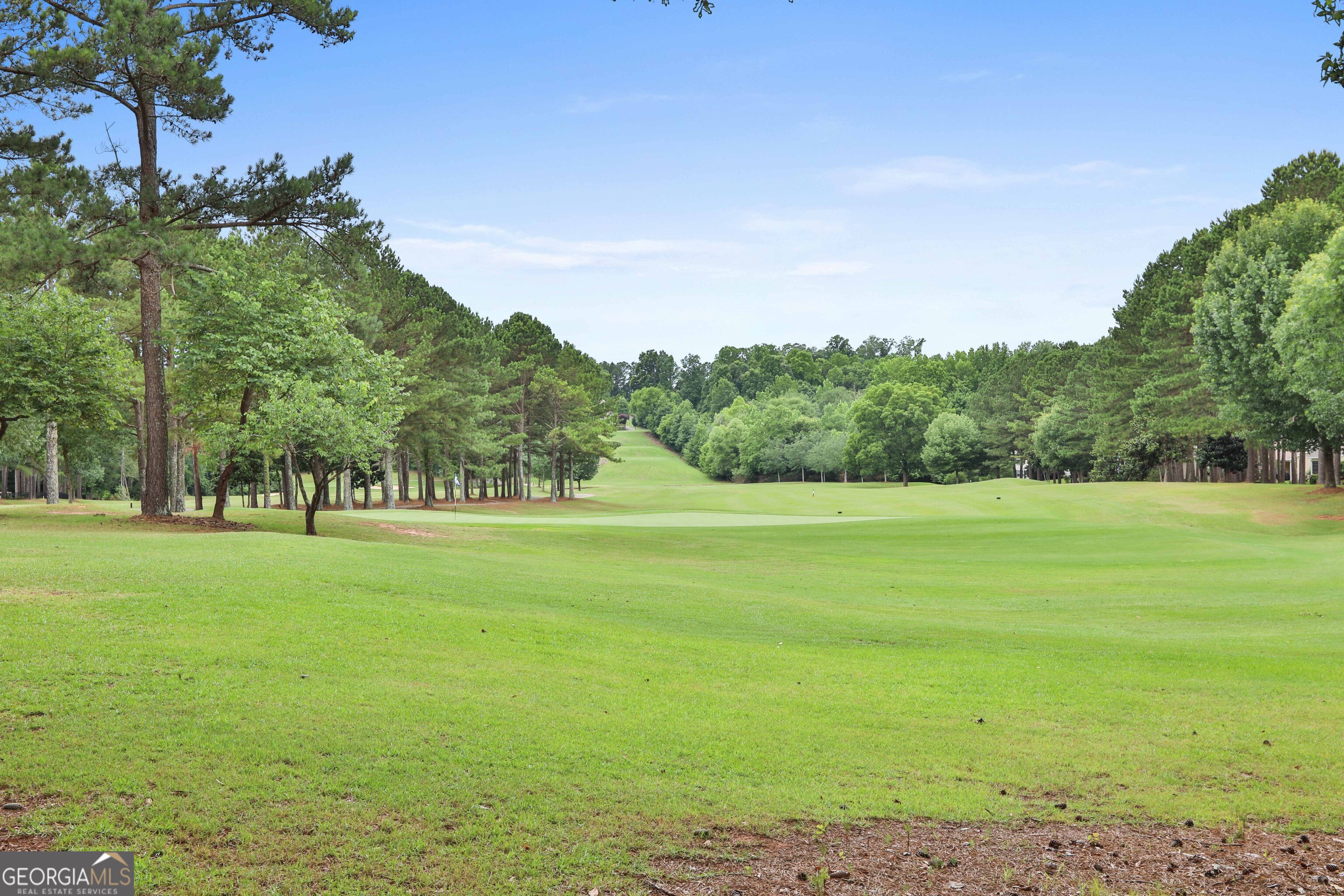 15 Mossy Rock Court Newnan GA 30265