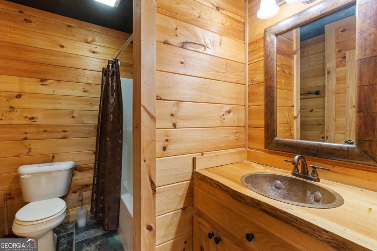 161 Huntington Way Blue Ridge GA 30513