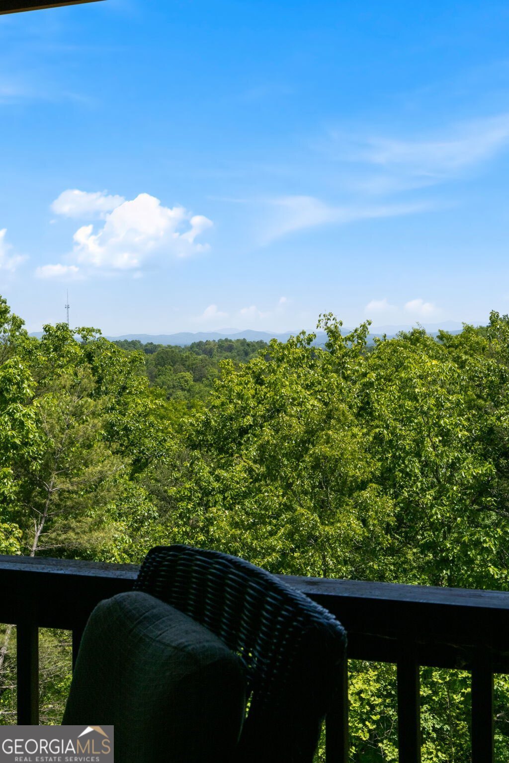 161 Huntington Way Blue Ridge GA 30513