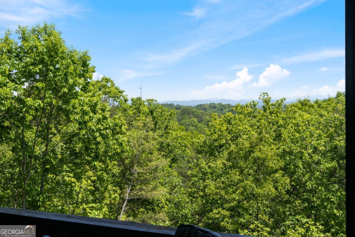 161 Huntington Way Blue Ridge GA 30513