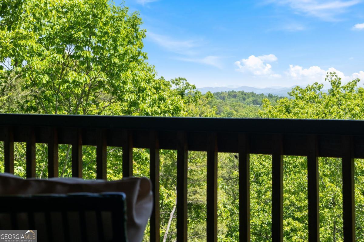 161 Huntington Way Blue Ridge GA 30513