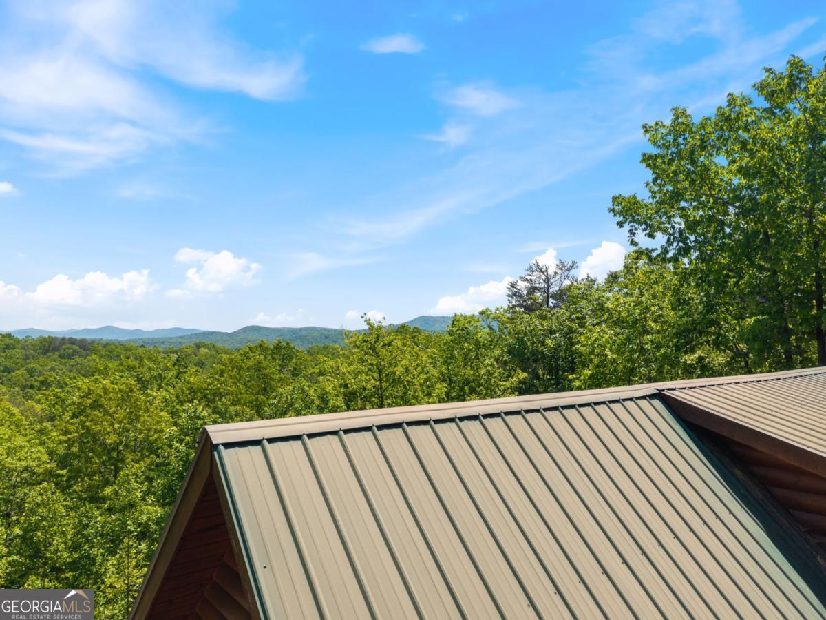 161 Huntington Way Blue Ridge GA 30513