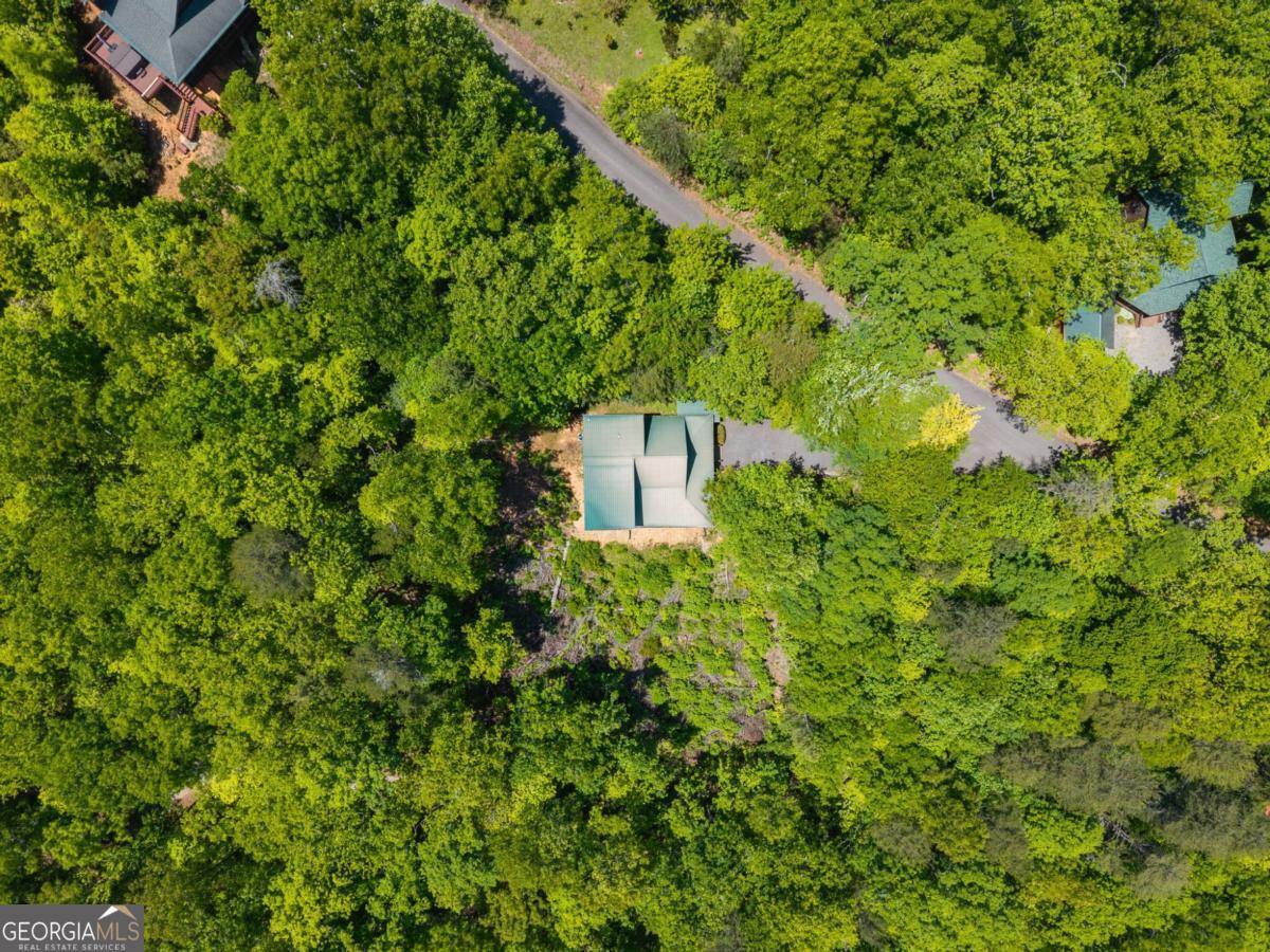 161 Huntington Way Blue Ridge GA 30513