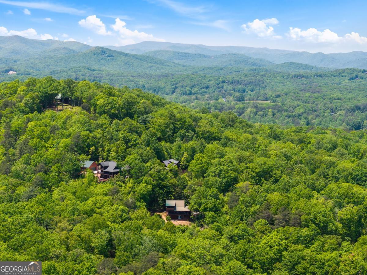 161 Huntington Way Blue Ridge GA 30513