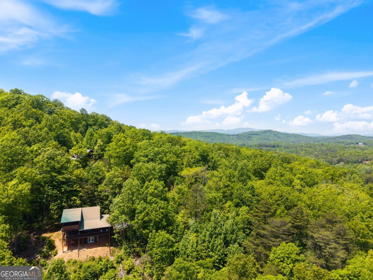 161 Huntington Way Blue Ridge GA 30513