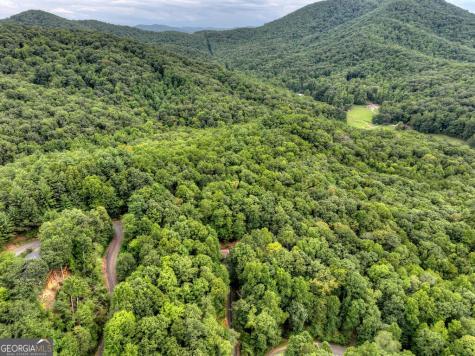 466 Hoot Owl Hill Morganton GA 30560