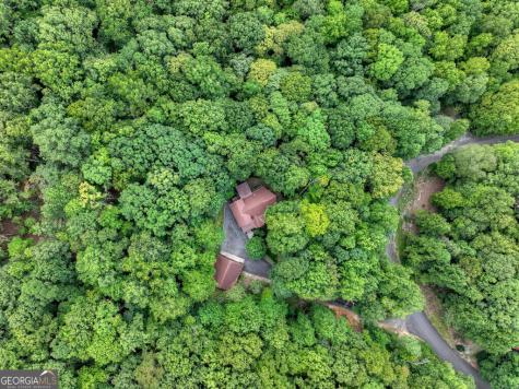 466 Hoot Owl Hill Morganton GA 30560