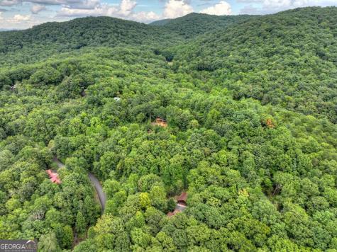 466 Hoot Owl Hill Morganton GA 30560