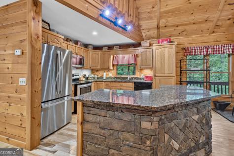466 Hoot Owl Hill Morganton GA 30560