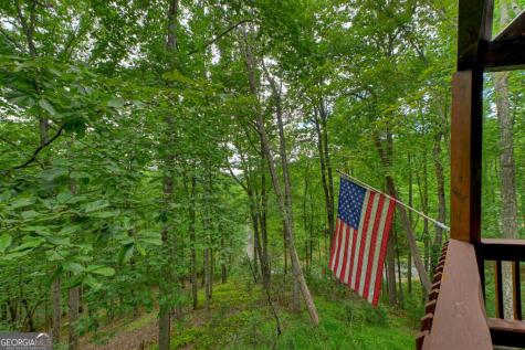 466 Hoot Owl Hill Morganton GA 30560