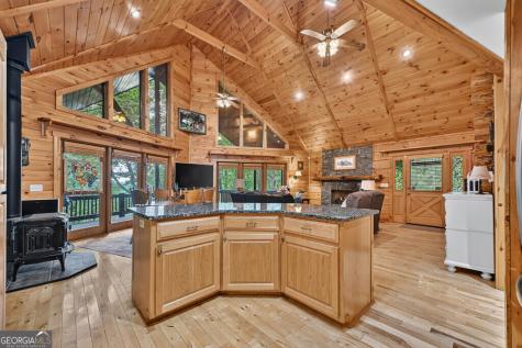 466 Hoot Owl Hill Morganton GA 30560