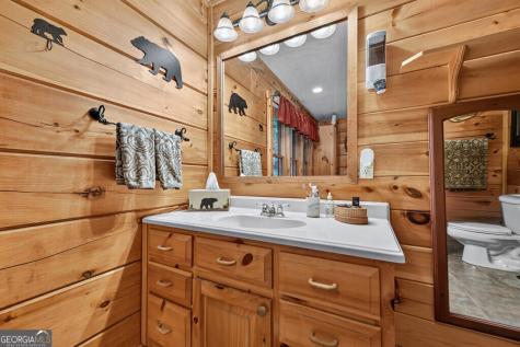 466 Hoot Owl Hill Morganton GA 30560