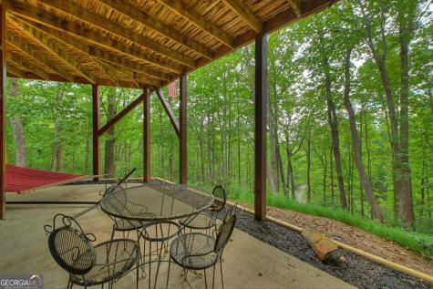 466 Hoot Owl Hill Morganton GA 30560
