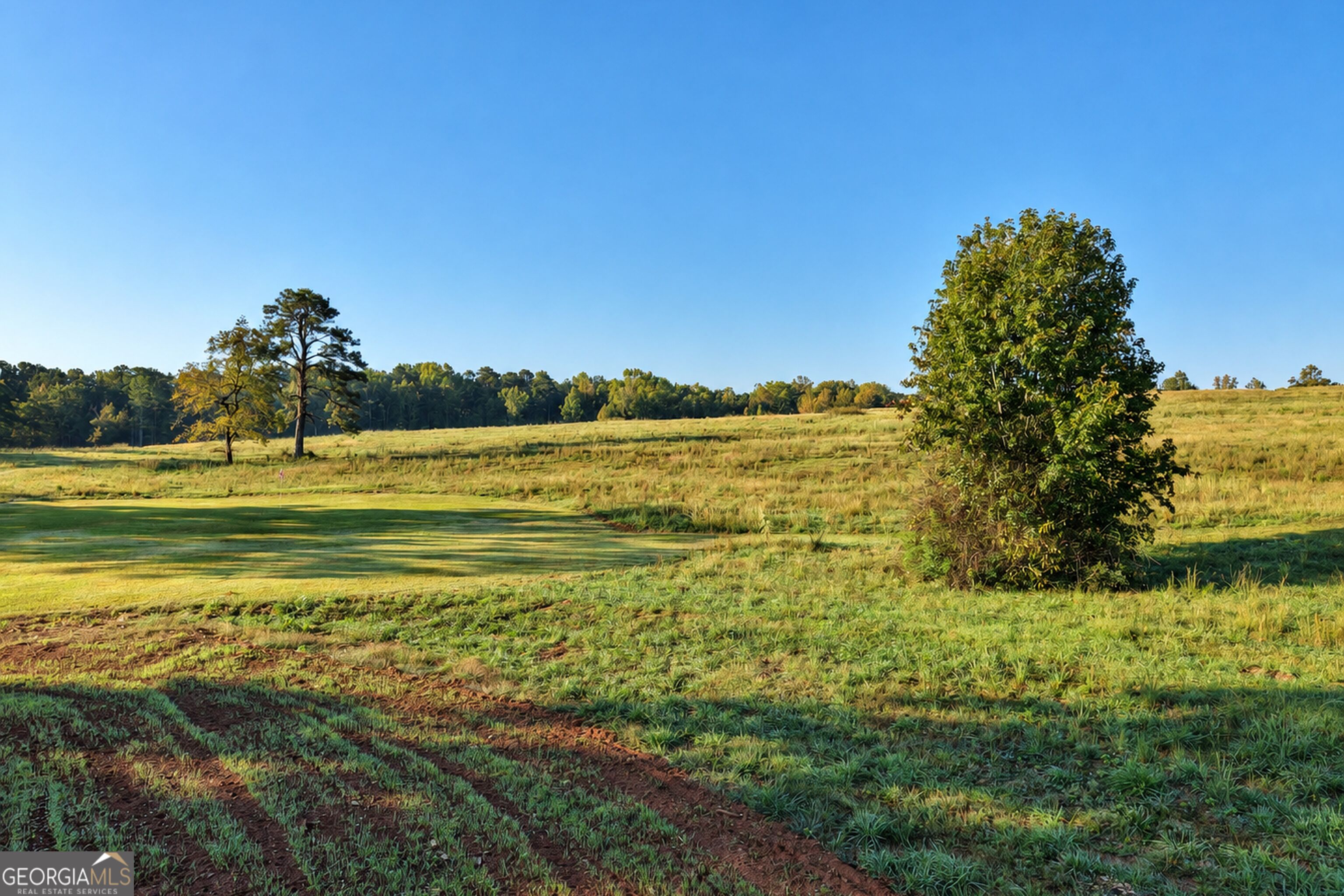 564 Bush Road Barnesville GA 30204