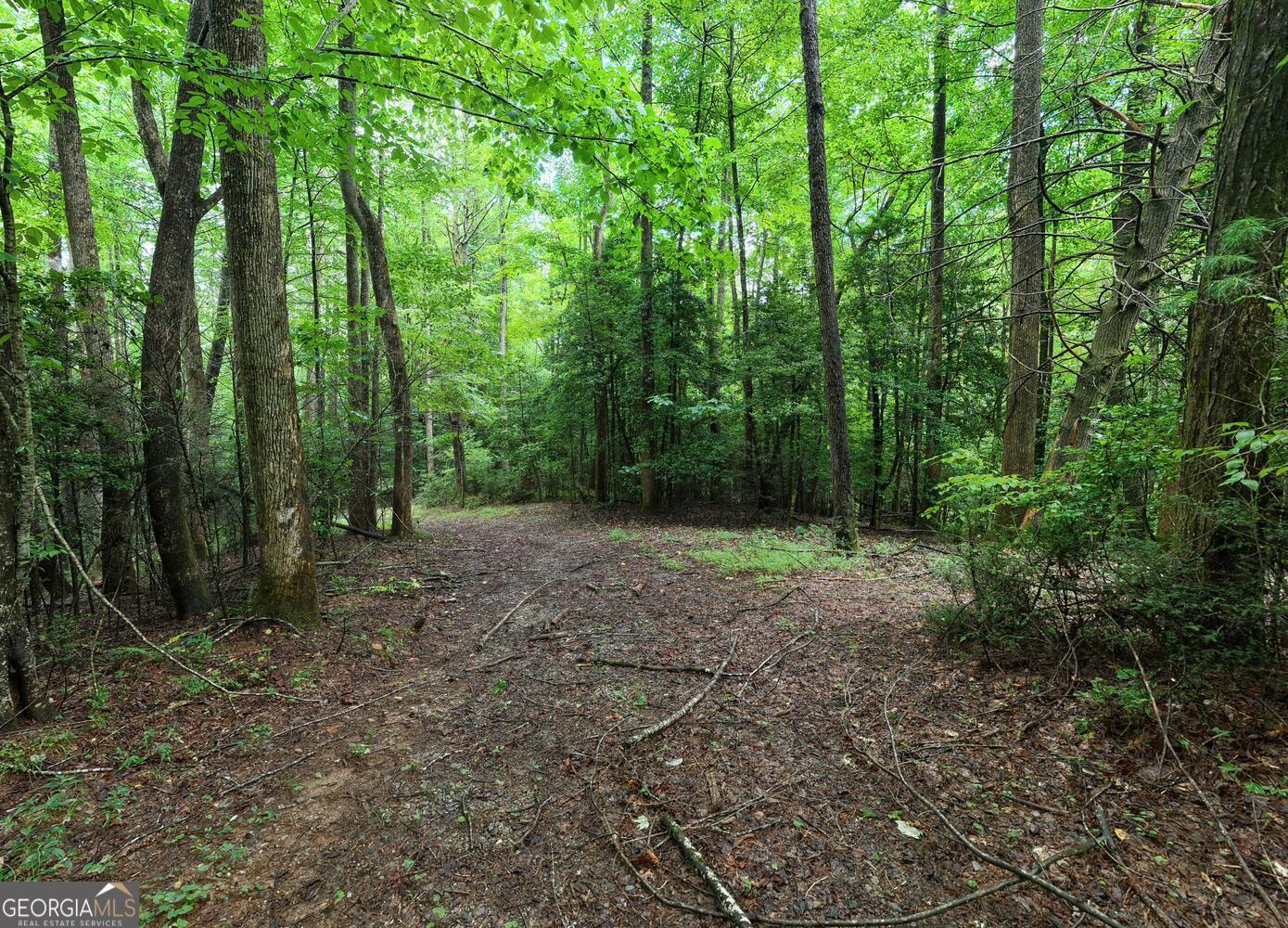 580 Emmaus Road Epworth GA 30541