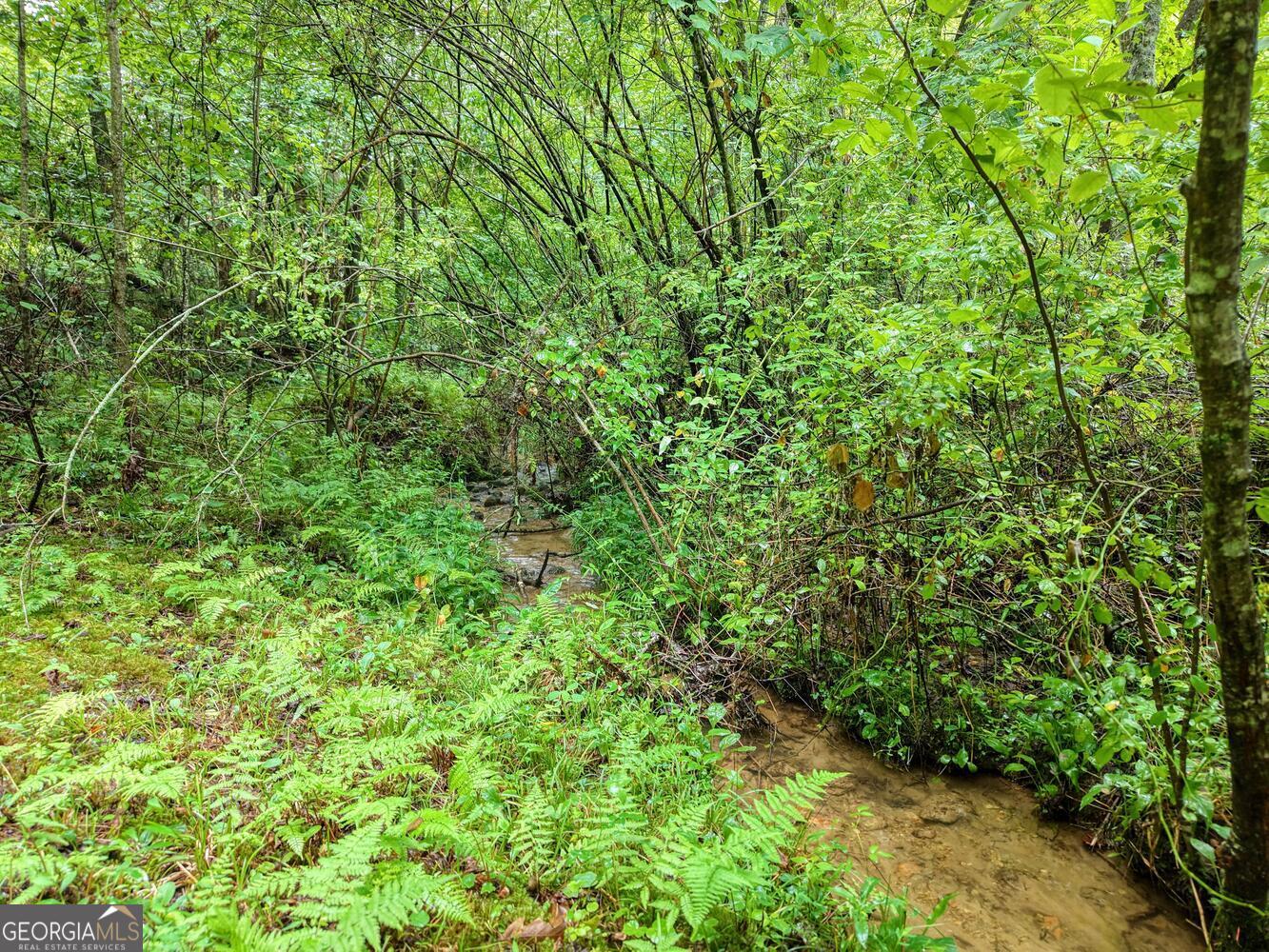 580 Emmaus Road Epworth GA 30541