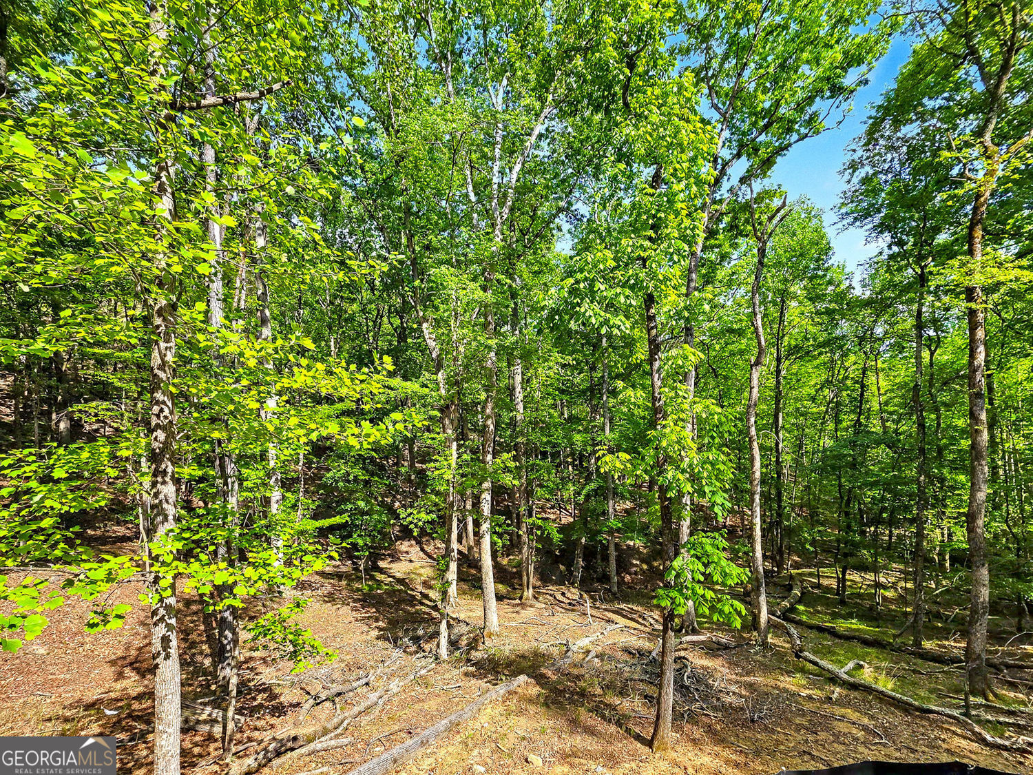 145 Jack Rabbit Drive Waleska GA 30183