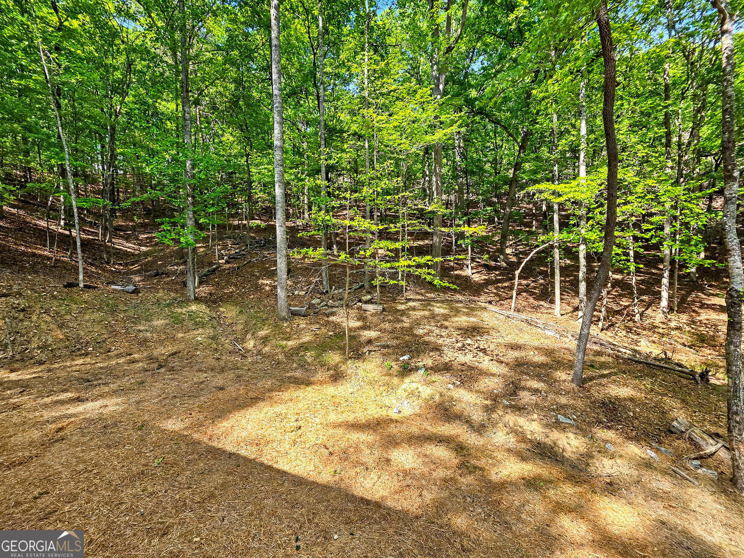 145 Jack Rabbit Drive Waleska GA 30183