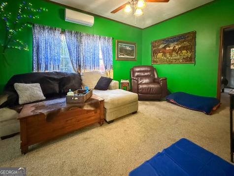 61 Rocky Lane Cleveland GA 30528
