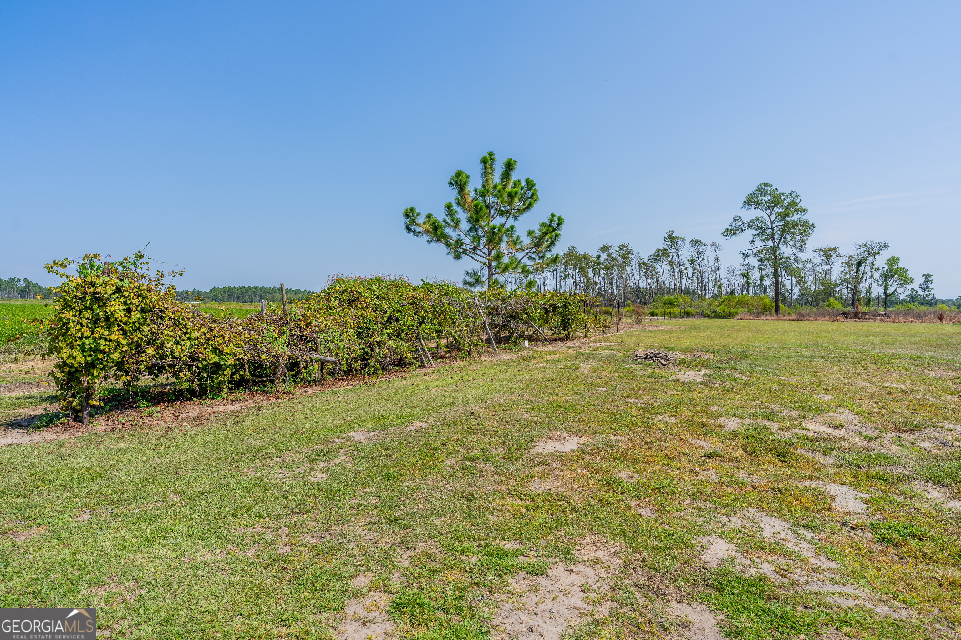 1671 Warren Carter Road Douglas GA 31533
