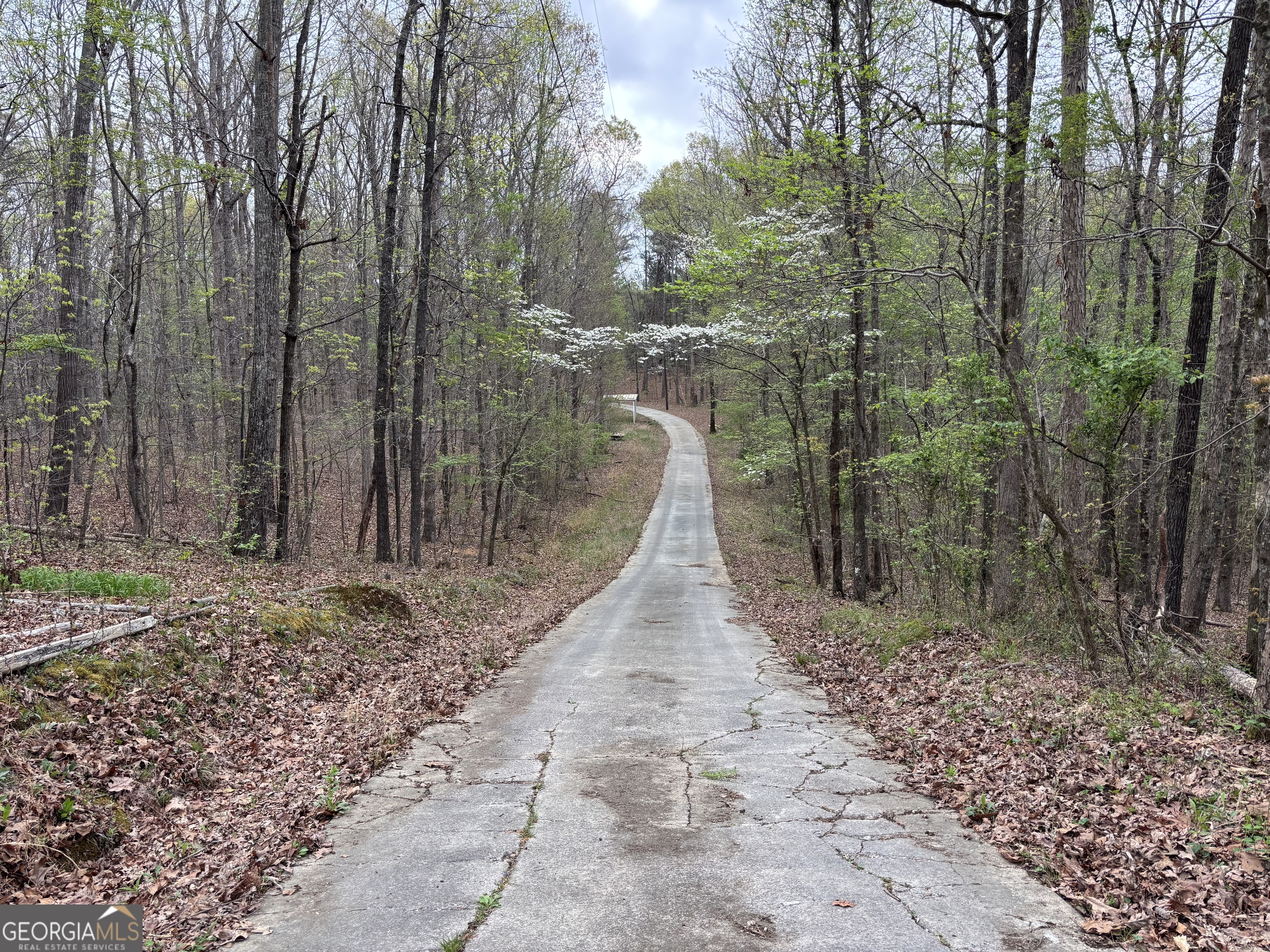 2246 Neal Gap Road Summerville GA 30747