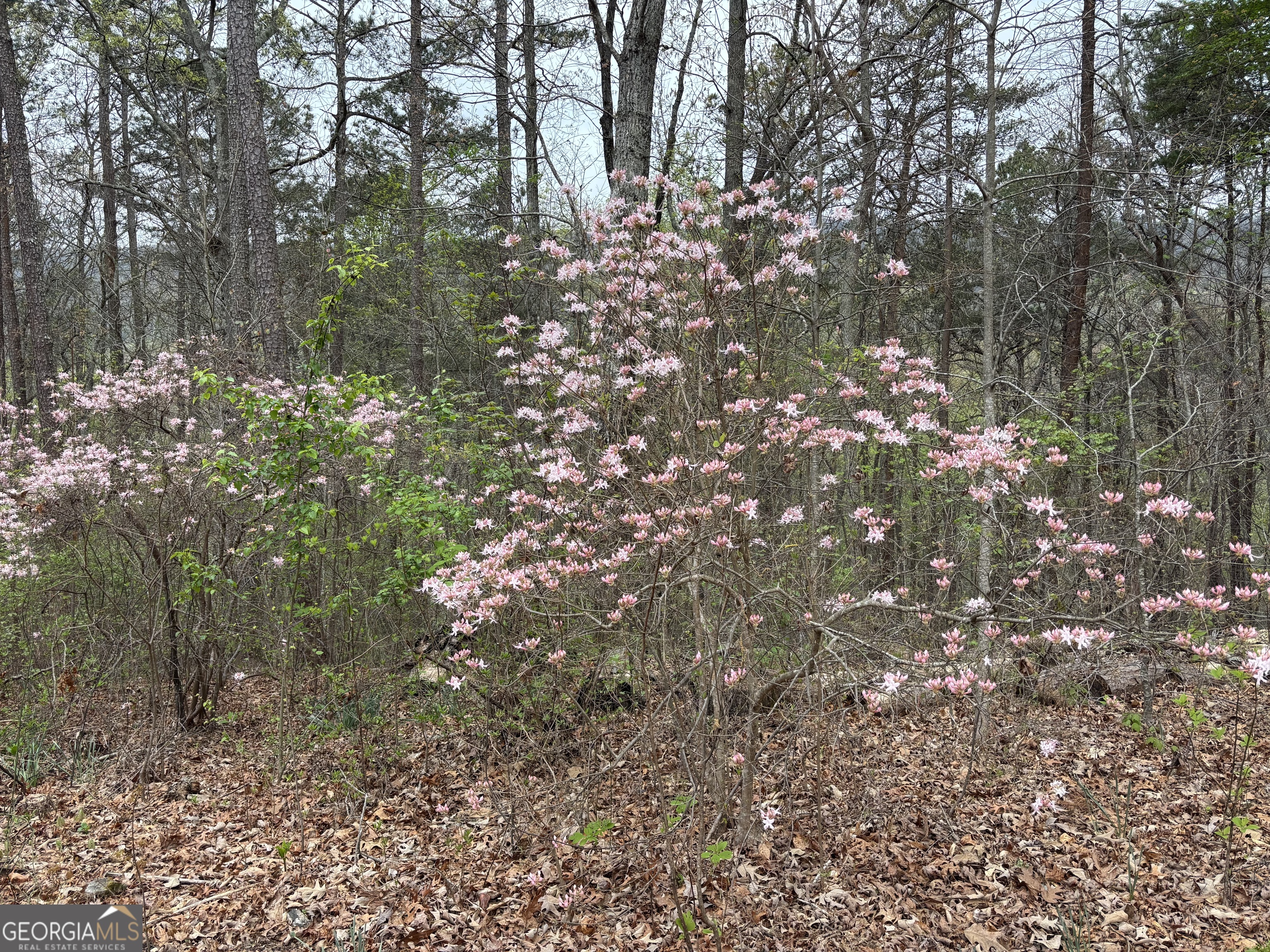 2246 Neal Gap Road Summerville GA 30747
