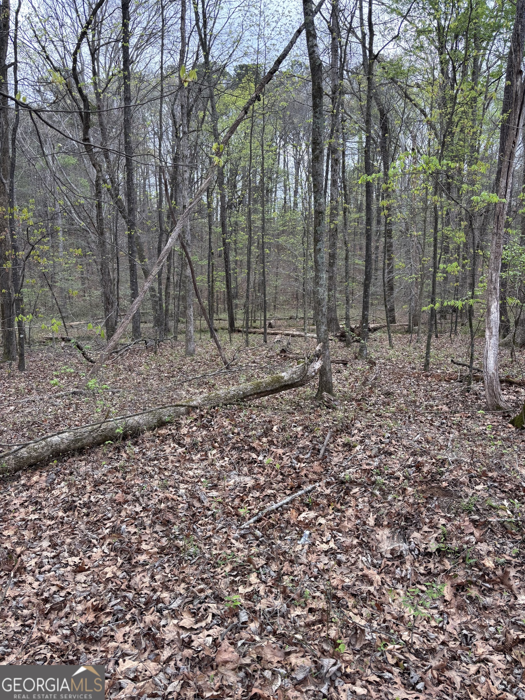 2246 Neal Gap Road Summerville GA 30747