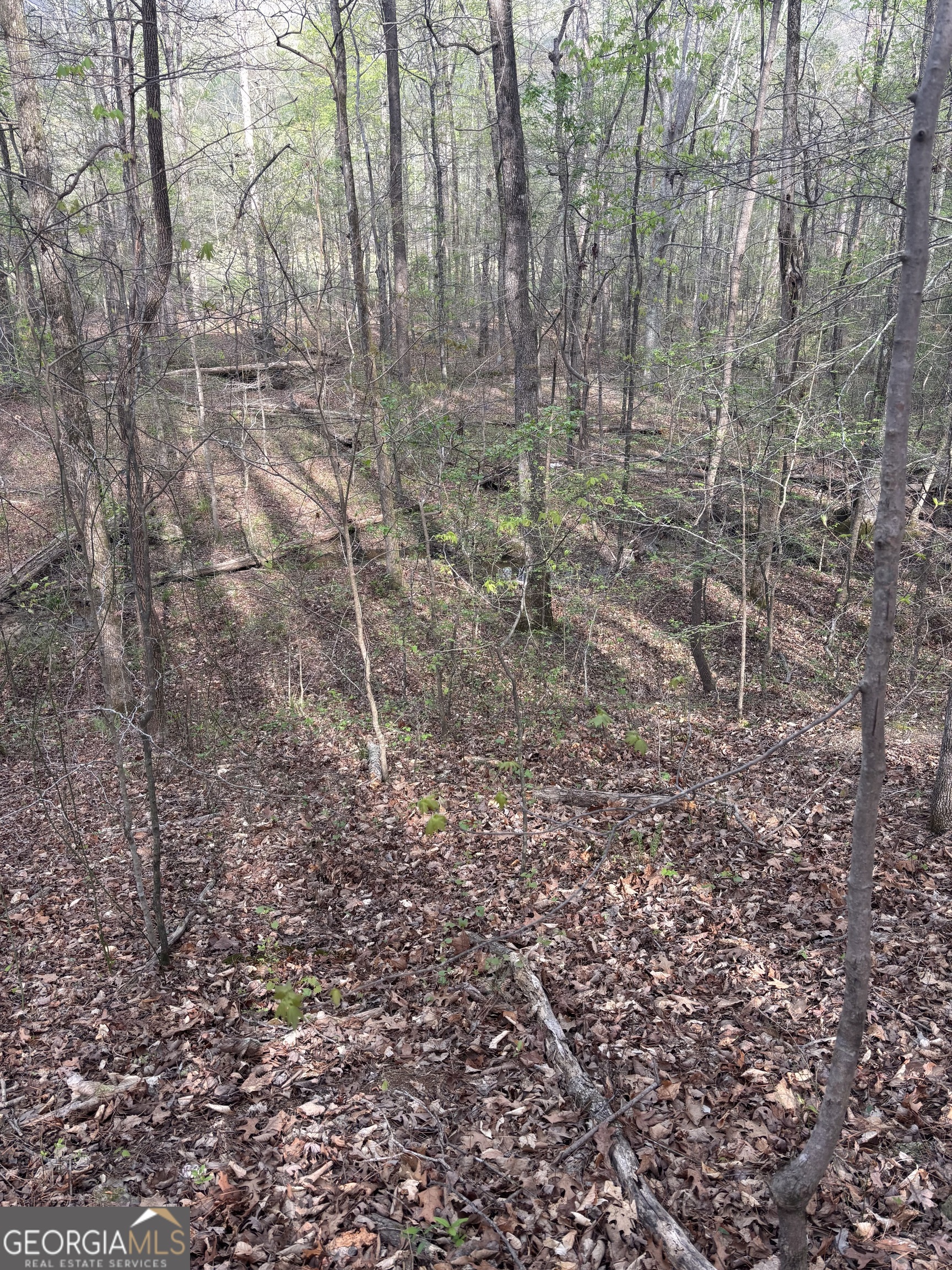 2246 Neal Gap Road Summerville GA 30747