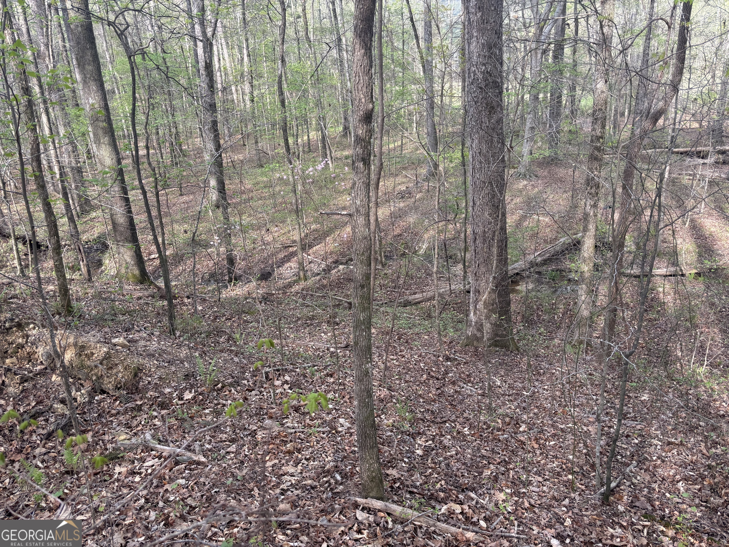 2246 Neal Gap Road Summerville GA 30747
