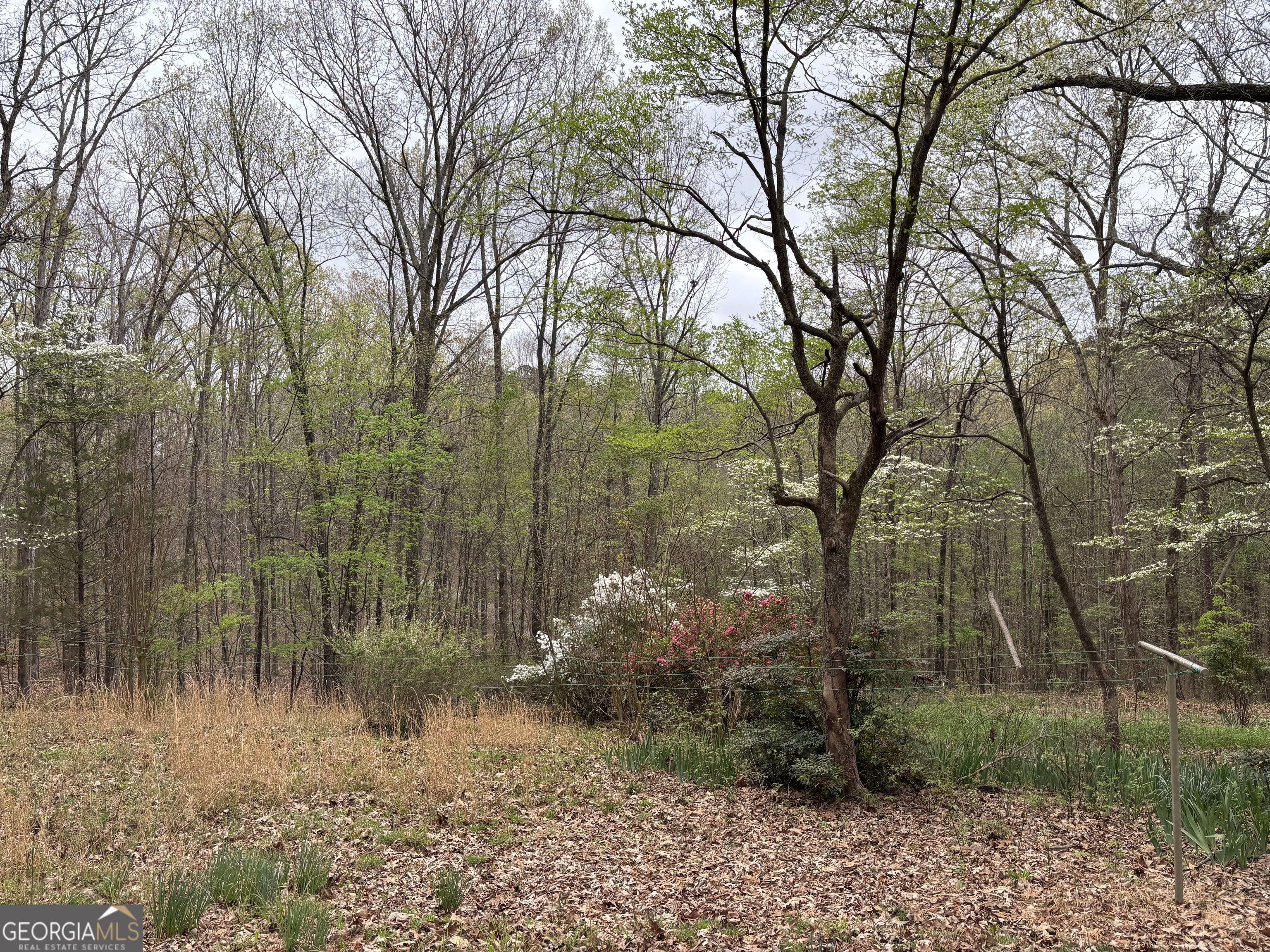 2246 Neal Gap Road Summerville GA 30747