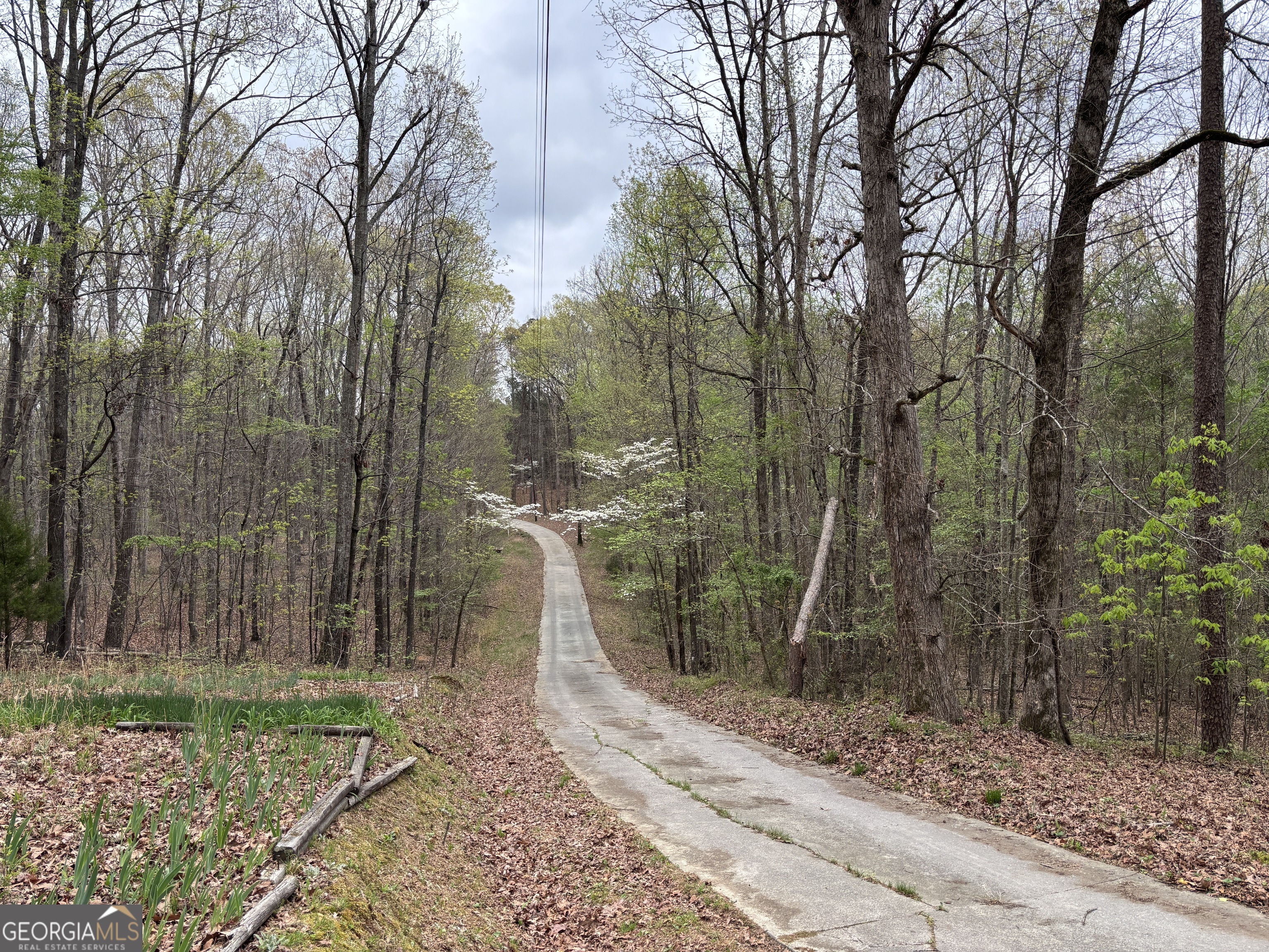 2246 Neal Gap Road Summerville GA 30747