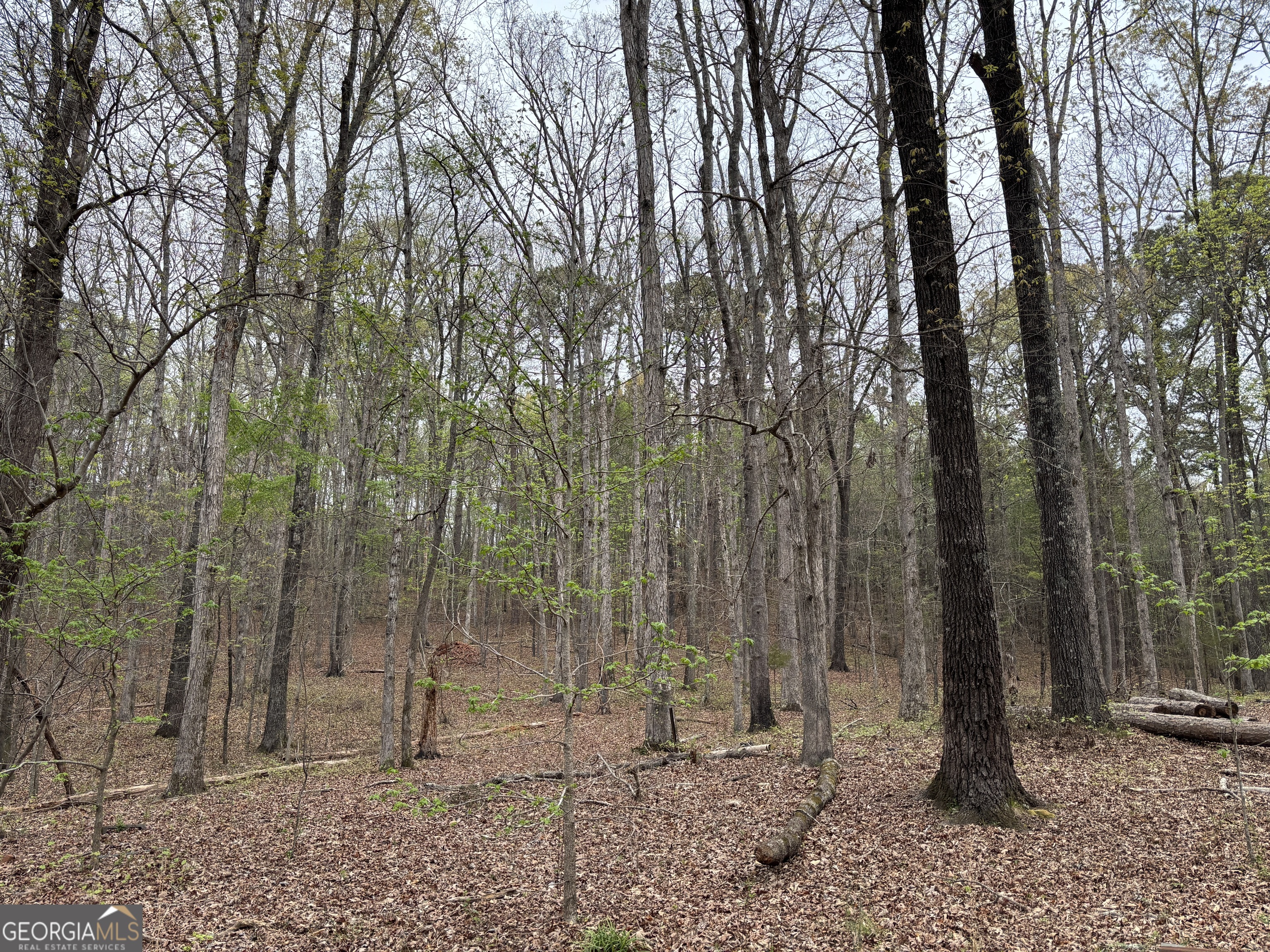 2246 Neal Gap Road Summerville GA 30747