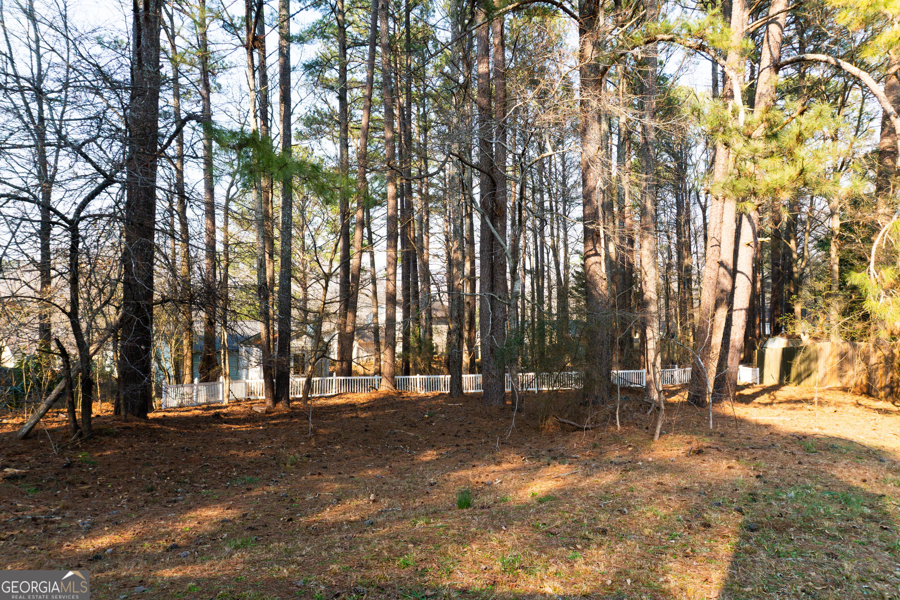 1350 Birdsong Lane Hampton GA 30228