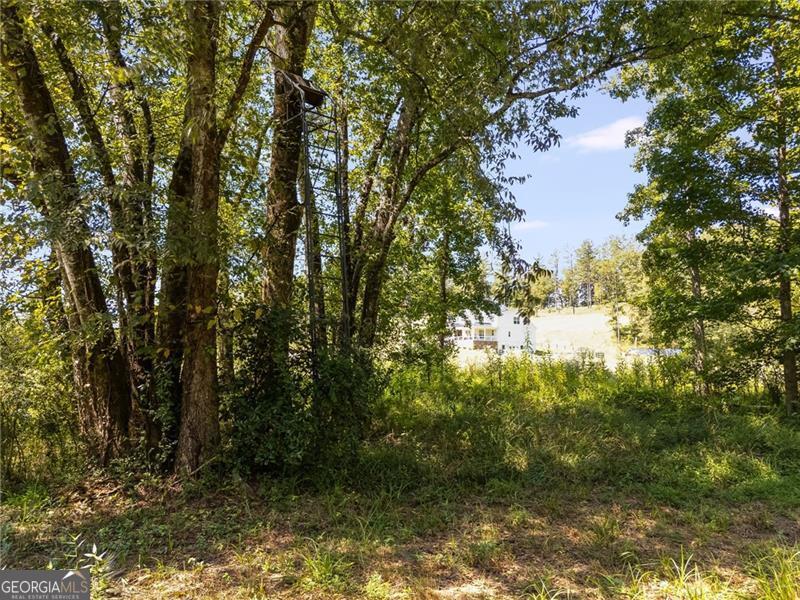 375 Druid Road SE Rome GA 30161