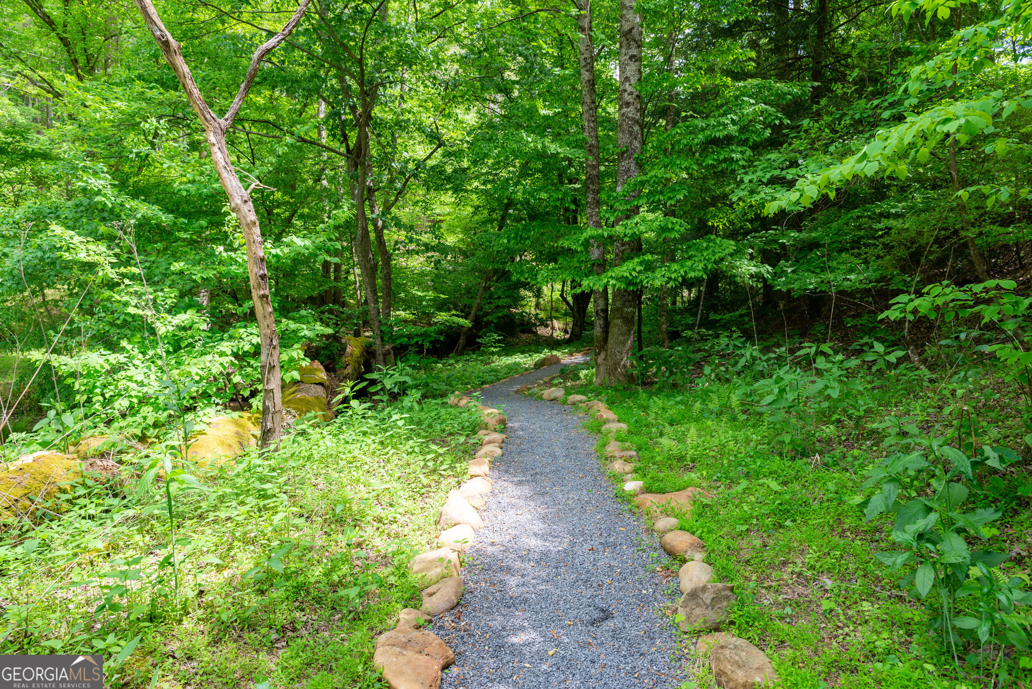 120 Pasha Drive Ellijay GA 30540