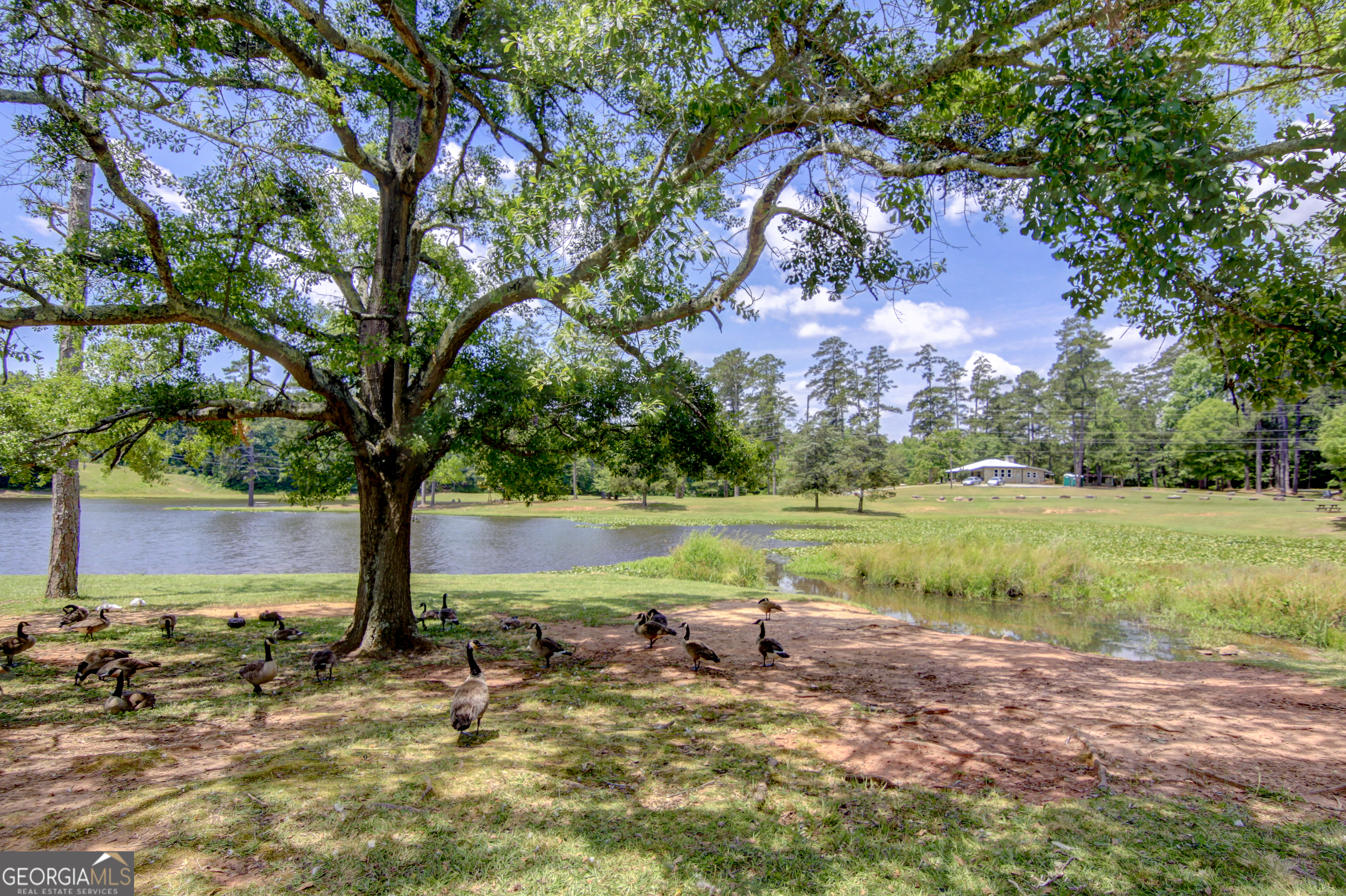 180 Redhaven Drive Senoia GA 30276