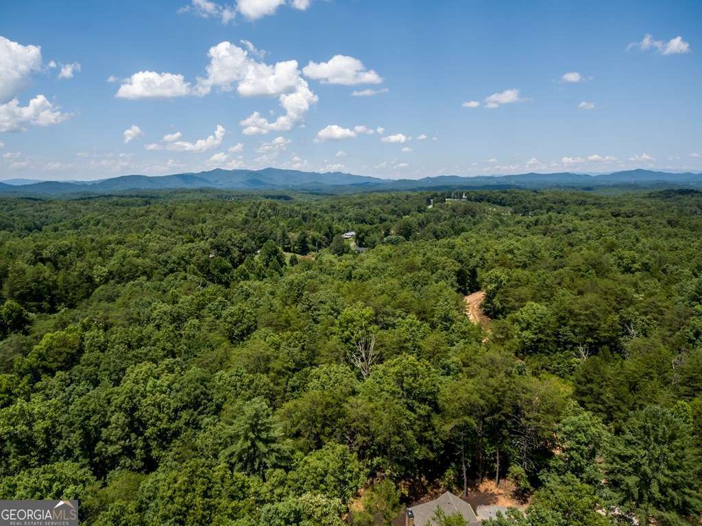 1134 Lees Ride Mccaysville GA 30555