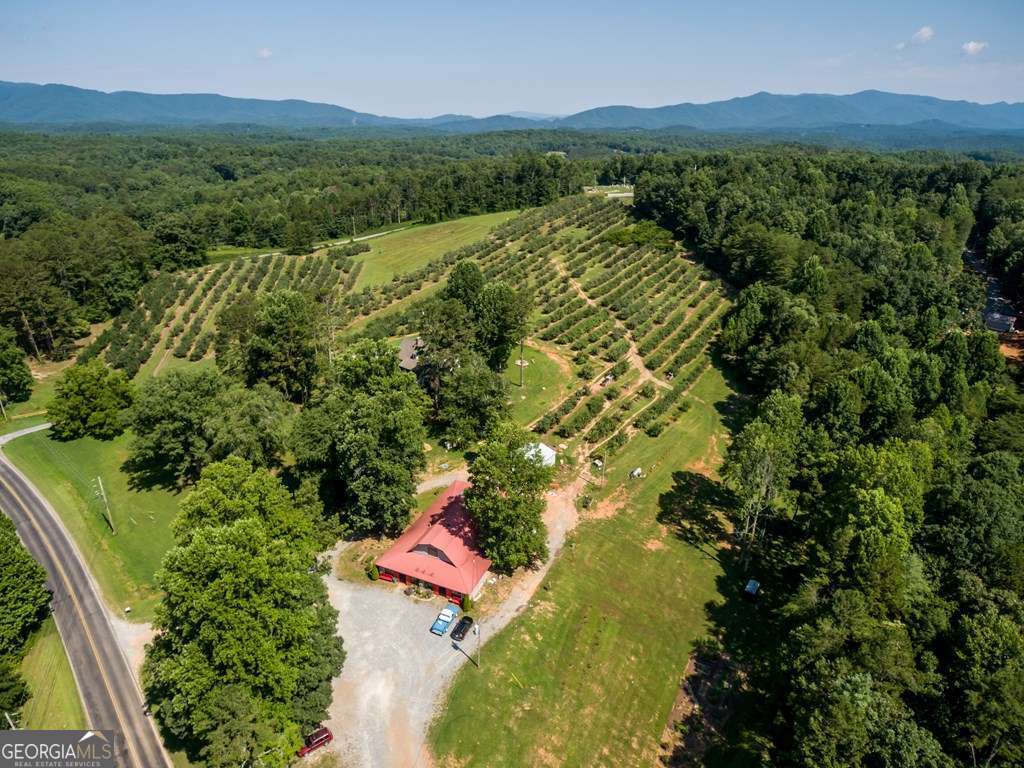 1134 Lees Ride Mccaysville GA 30555