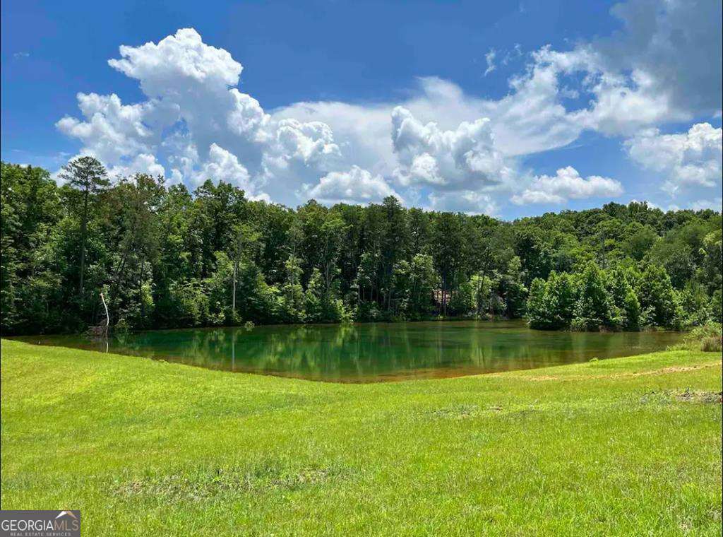 1134 Lees Ride Mccaysville GA 30555
