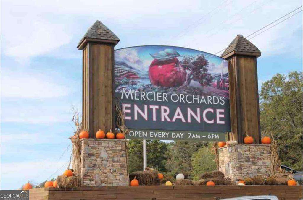 1134 Lees Ride Mccaysville GA 30555