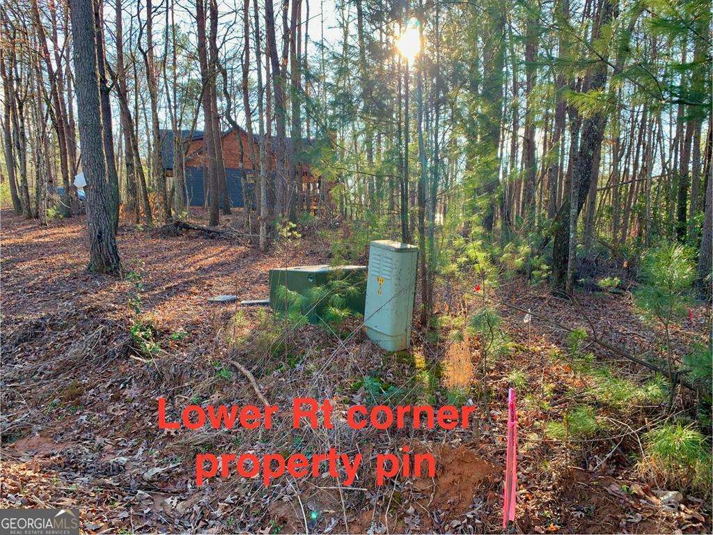 1134 Lees Ride Mccaysville GA 30555