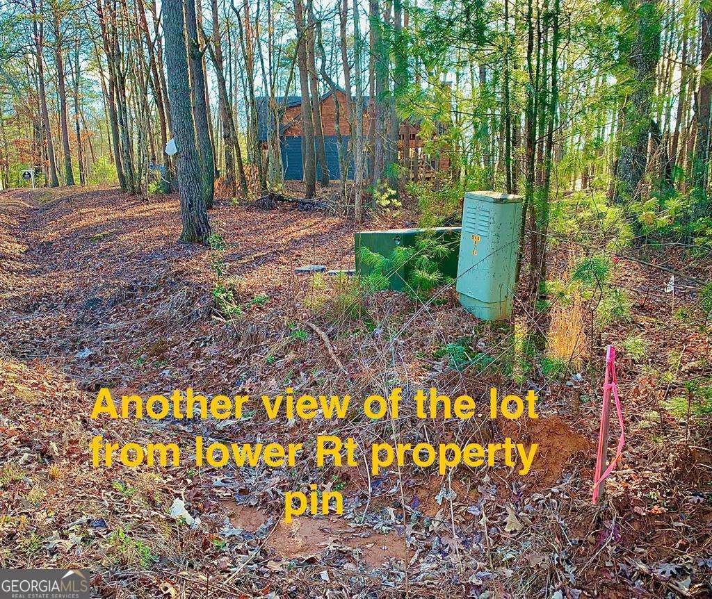 1134 Lees Ride Mccaysville GA 30555