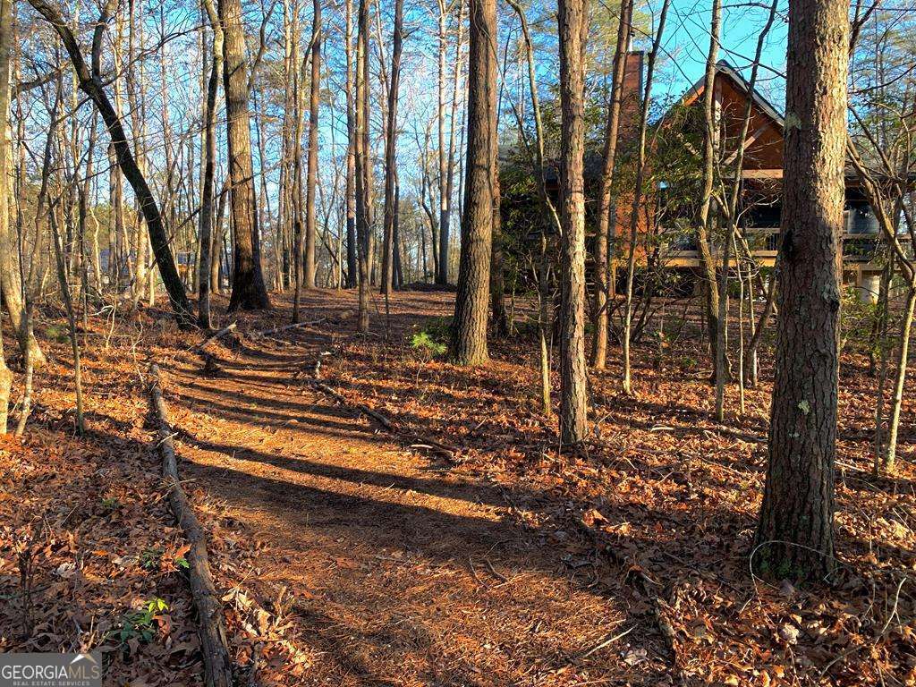 1134 Lees Ride Mccaysville GA 30555